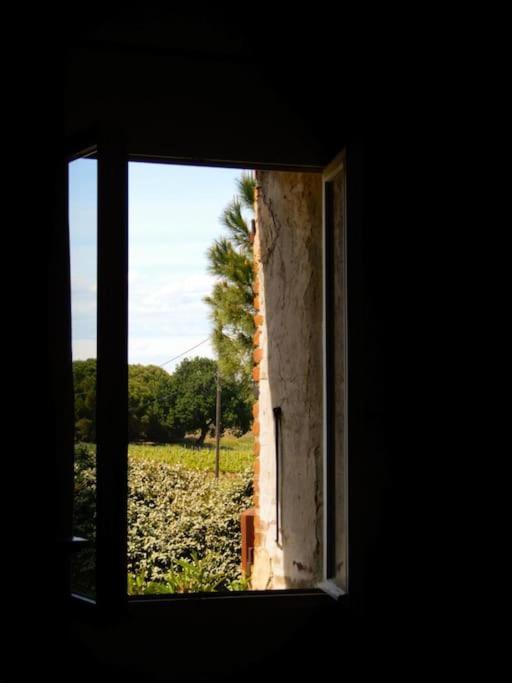 La Maison Des Vendangeurs Canet-en-Roussillon Exterior foto